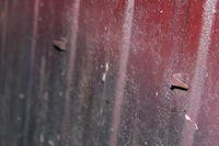 IMG_0524