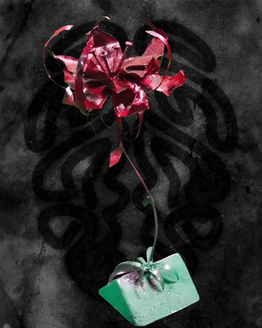 Spider Lily